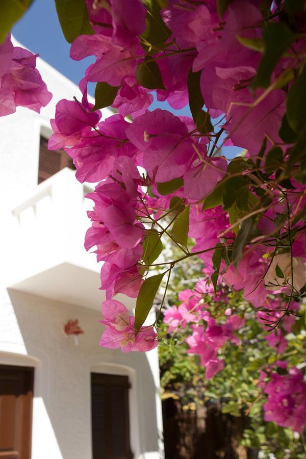 Albatross Hotel Livadi  ภายนอก รูปภาพ