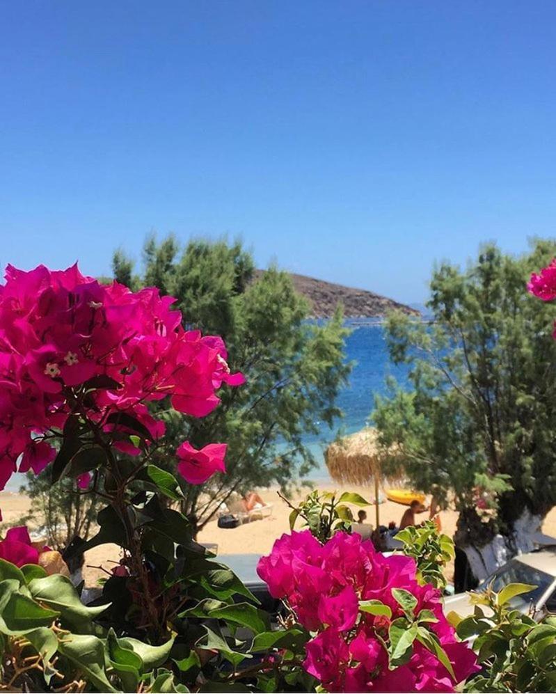 Albatross Hotel Livadi  ภายนอก รูปภาพ